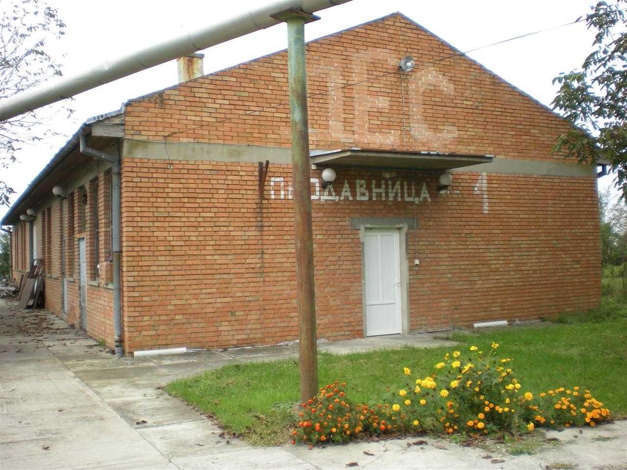 Halu-Pancevacka-b