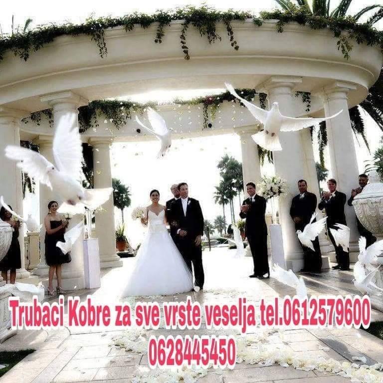 Trubači-Velika-Plana