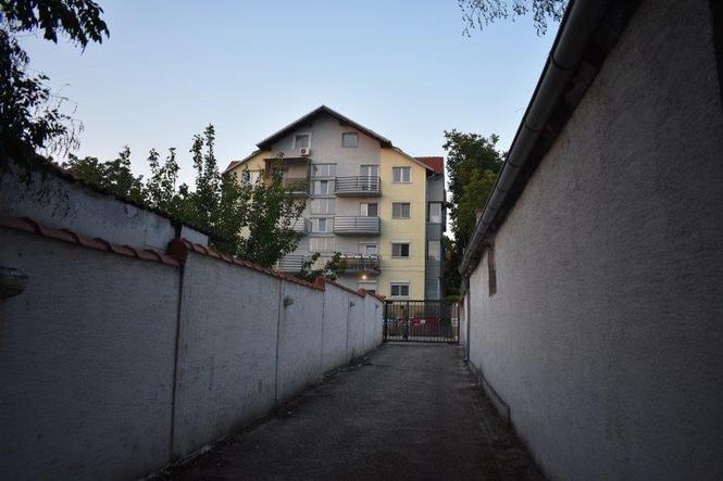 Komforan stan 60m2 - Zemun