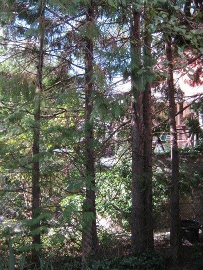 SREMČICA-232m2