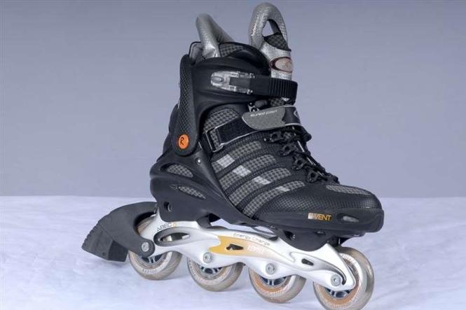Reptil Raptor R 2008