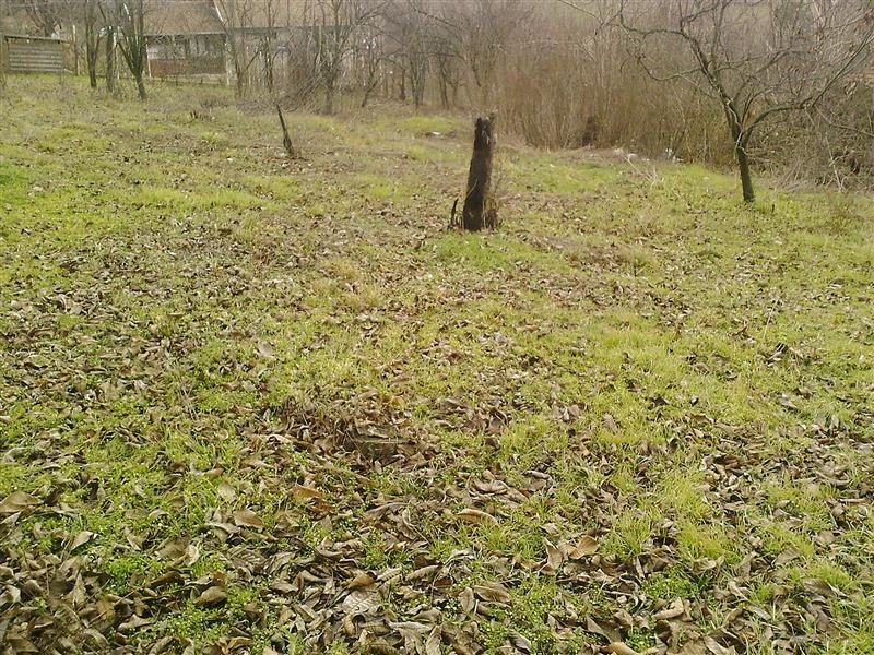 Kuća-na-prodajui