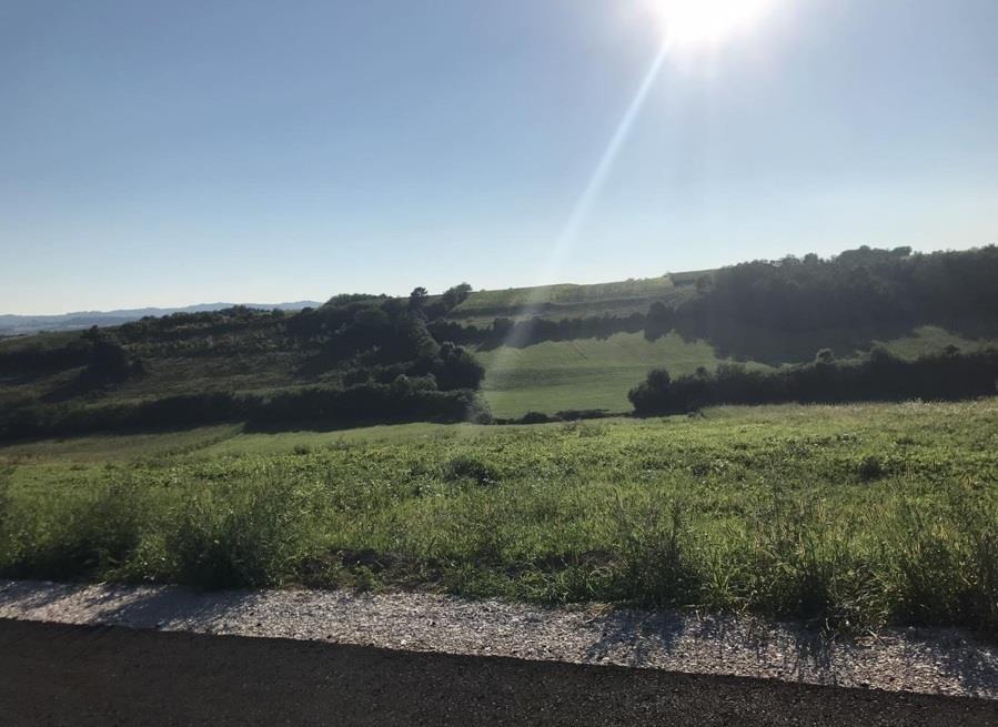 Zemljiste-4ha
