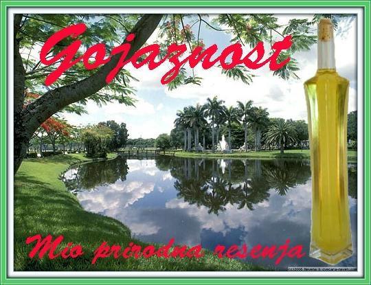 Gojaznost