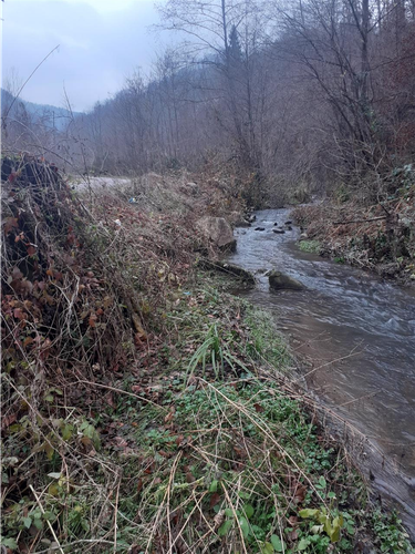 Kuca i imanje prodaja