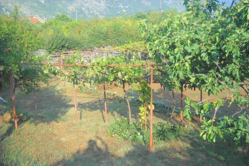 Kuca-sa-okucnicom
