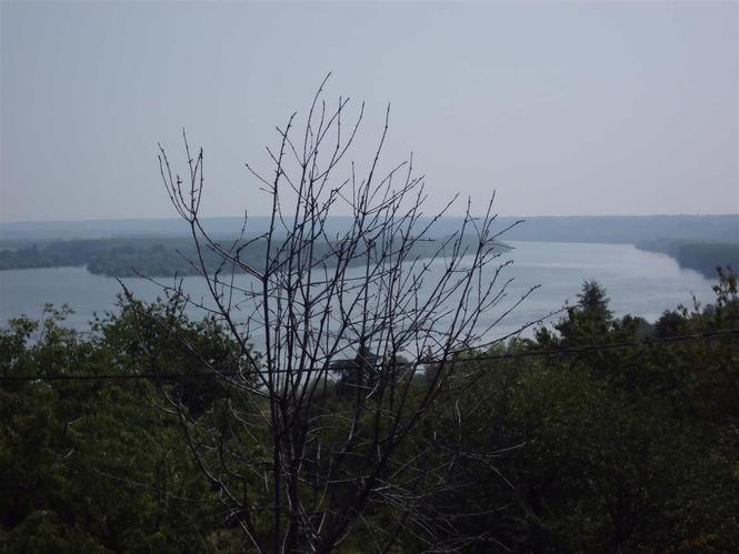 PANORAMICNO