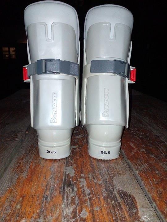 Pancerice--NOVE-