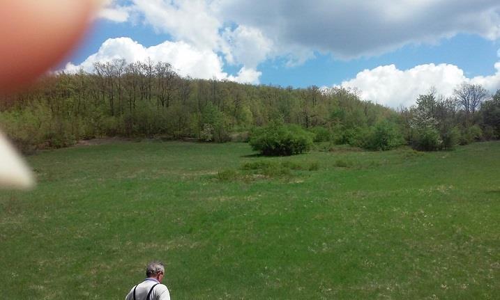 Rtanjski-kraj-sa-63100m2-