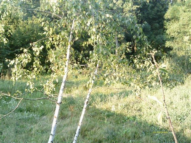 Plac od 3000m2 u centru Batocine
