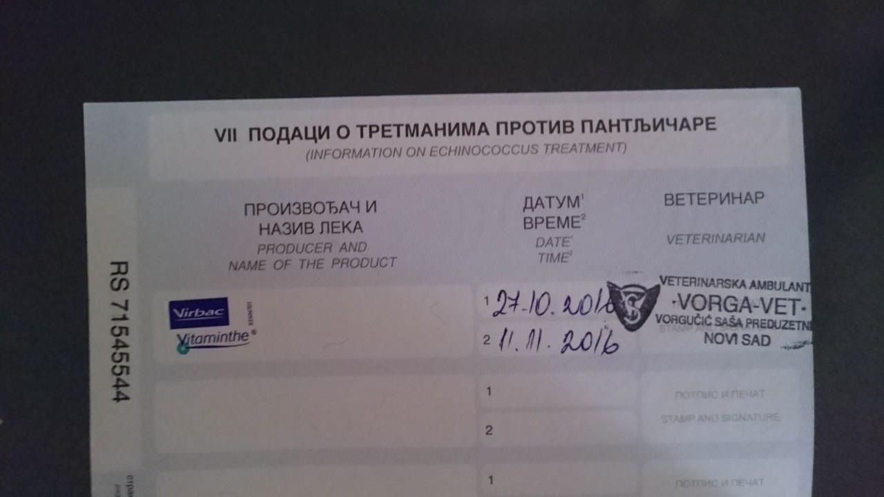 Birmanska-Macka-prelepa