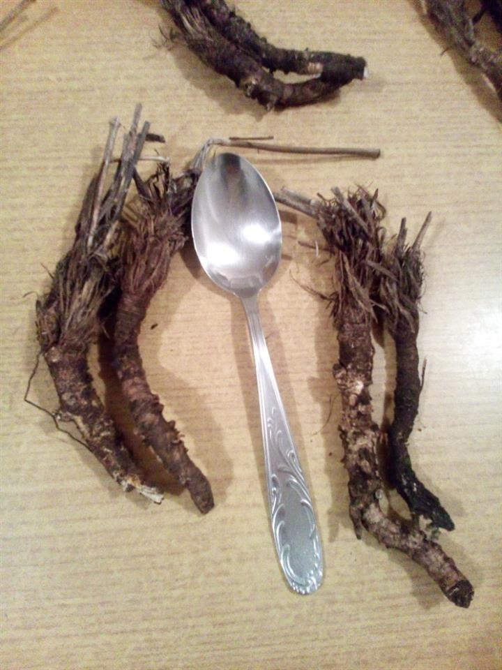 Raskovnik---biljka-čudesnih-moći