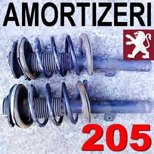 Amortizeri 205