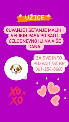 Čuvanje i šetanja pasa