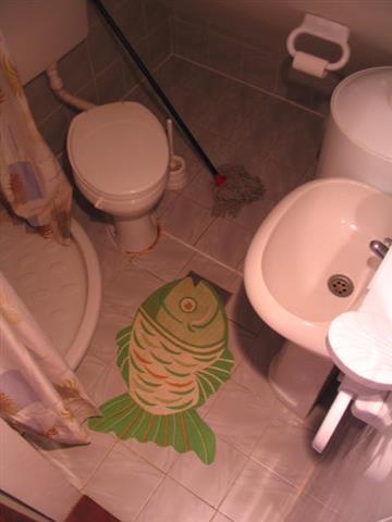 Zlatibor-izdajem-sobe-i-apartmane