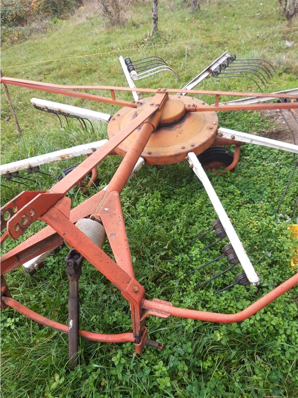 Grabulje-i-Kosa