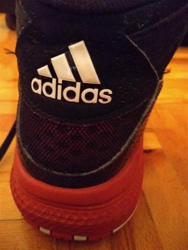 D rose 773 košarkaške patika 