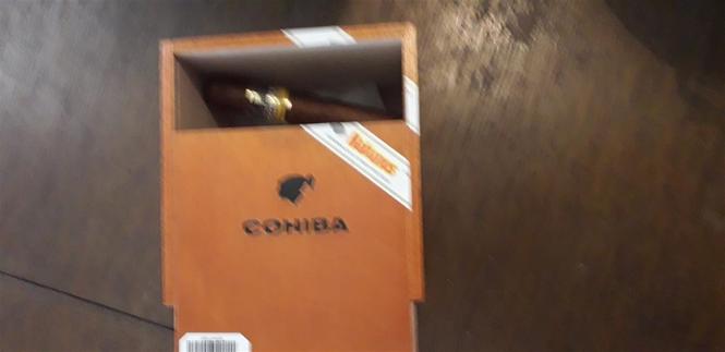Cohiba robusto