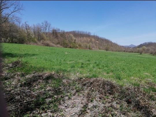 2 livade,1.6ha