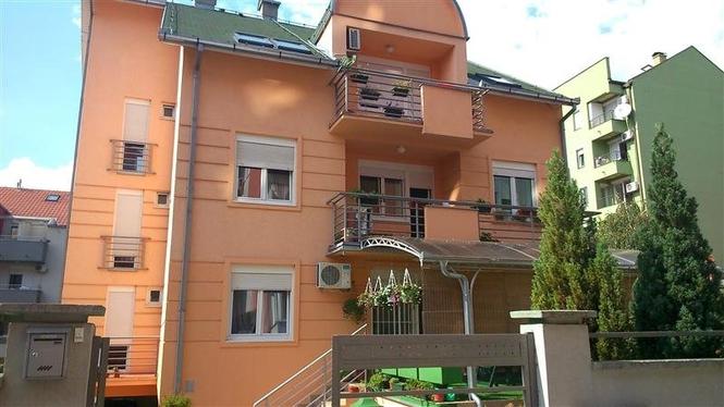 Vila 480m2 u Novom Sadu 