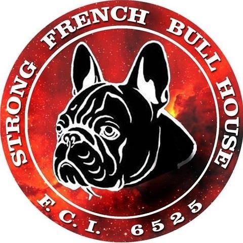 Francuski-buldog-stenci-