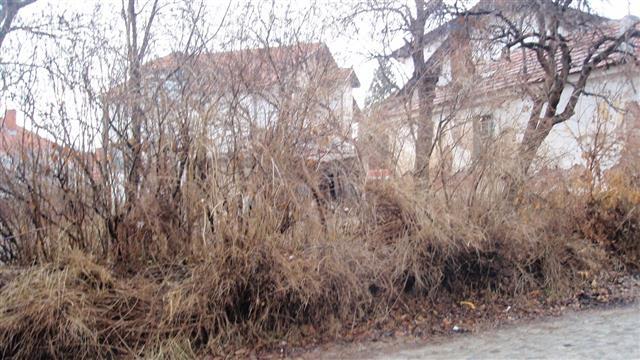 Plac-460m2-