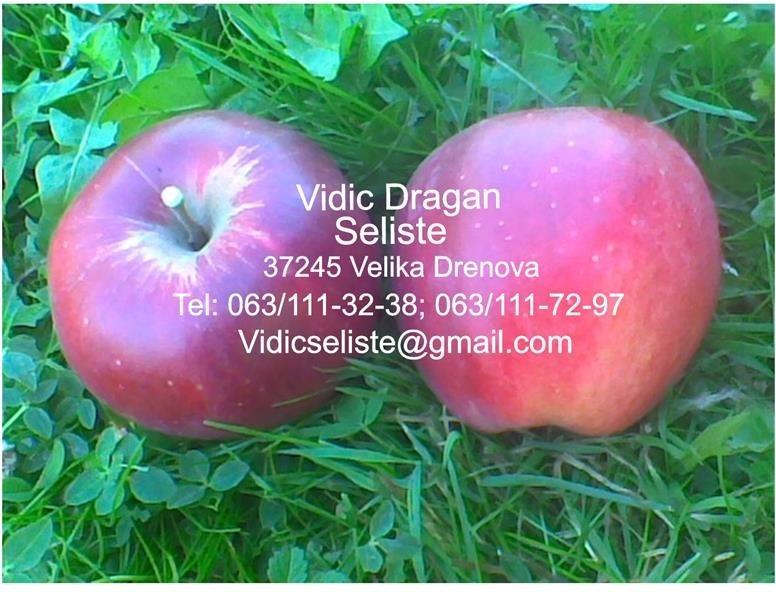 Sadnice-starih-sorti-voca