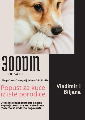 šetanje-životinja-