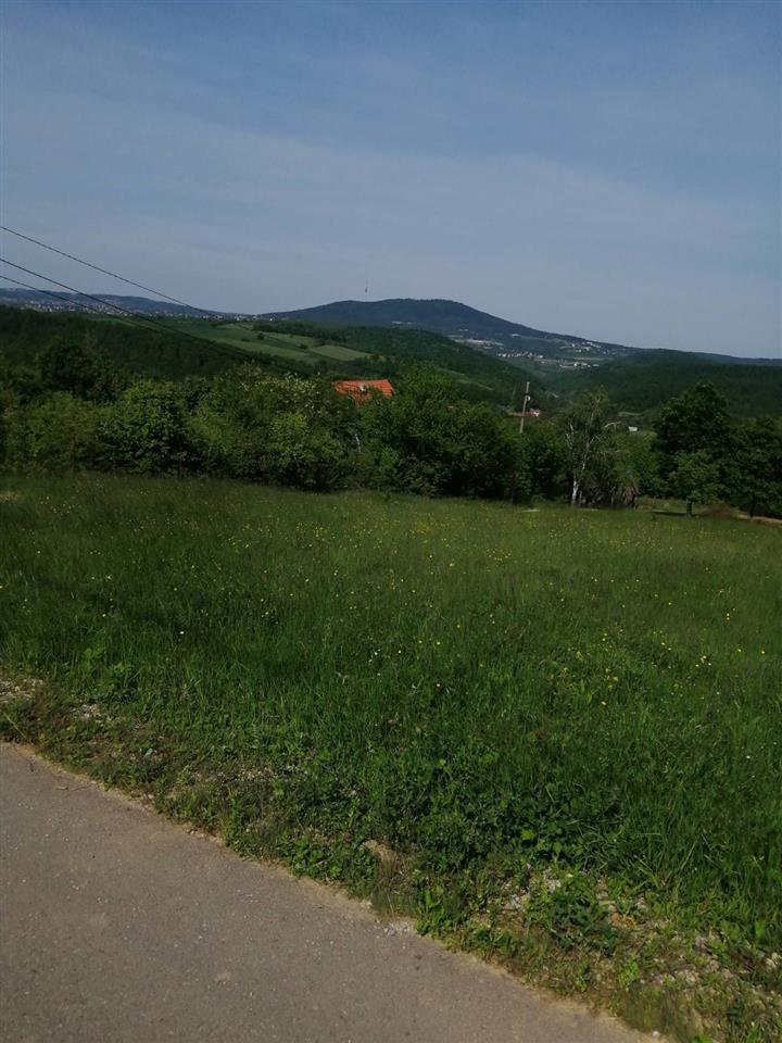 Lipovica--Ripanj