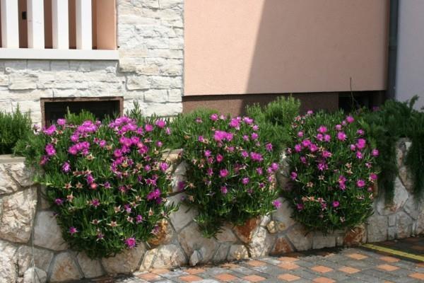 Apartman-od-67m2-u-Pag