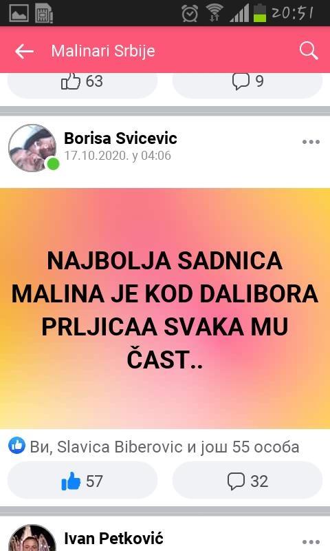 SADNICE-MALINE