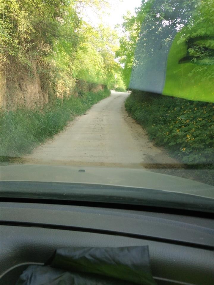 Čerević