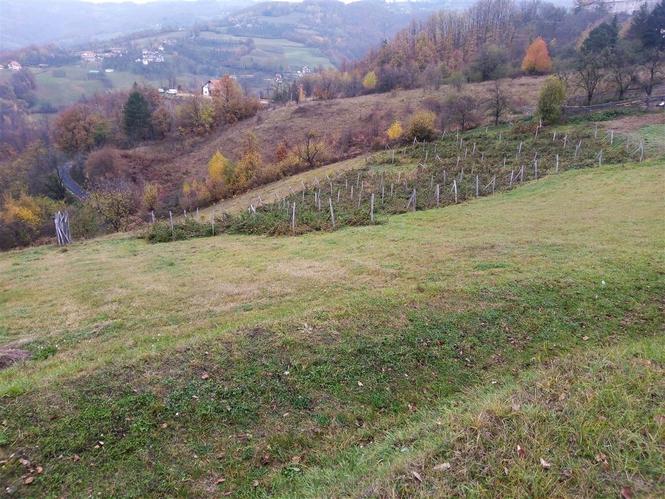 Prodaja