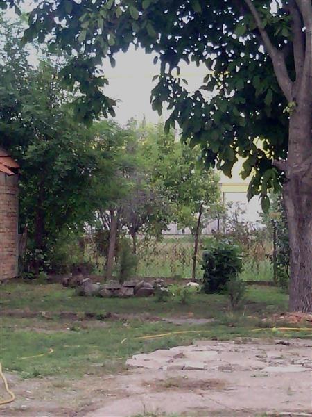 Kuca-80m2-na-vecem-placu