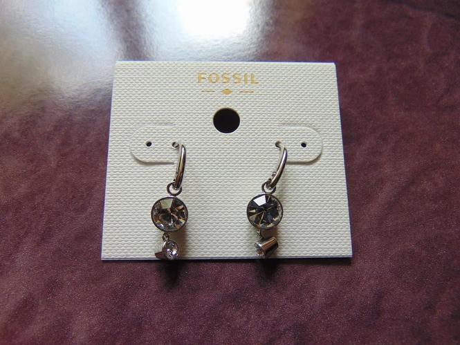 Fossil 