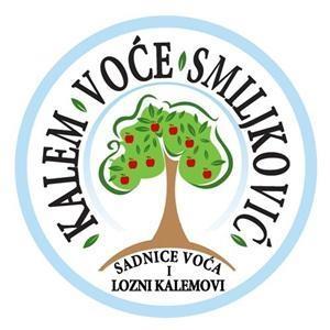 SADNICE-VOCA--Kvalitetno