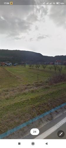 Plac 20 ari