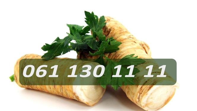 Domaći ren u korenu