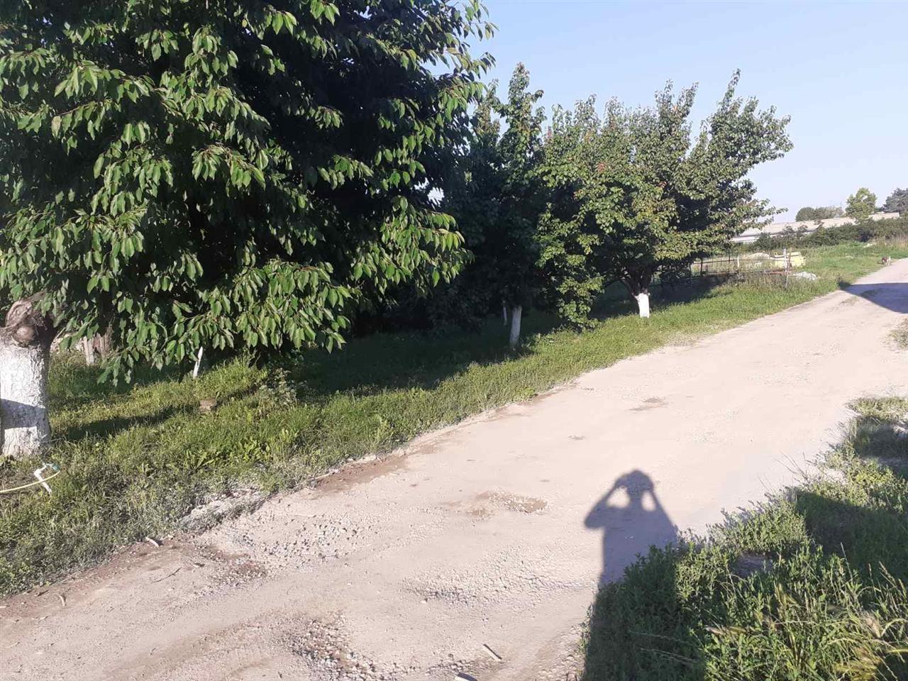 Prodajem-plac-u-Pancevu