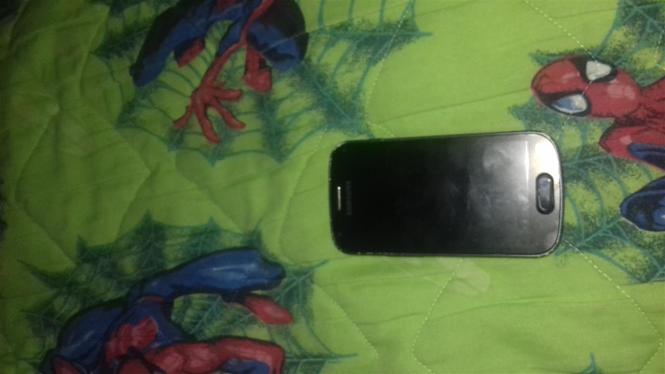 Samsung Galaxy Trend Plus