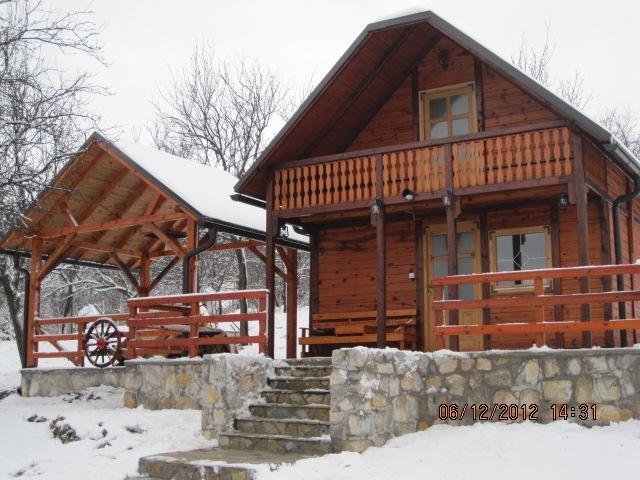 Zlatibor brvnare