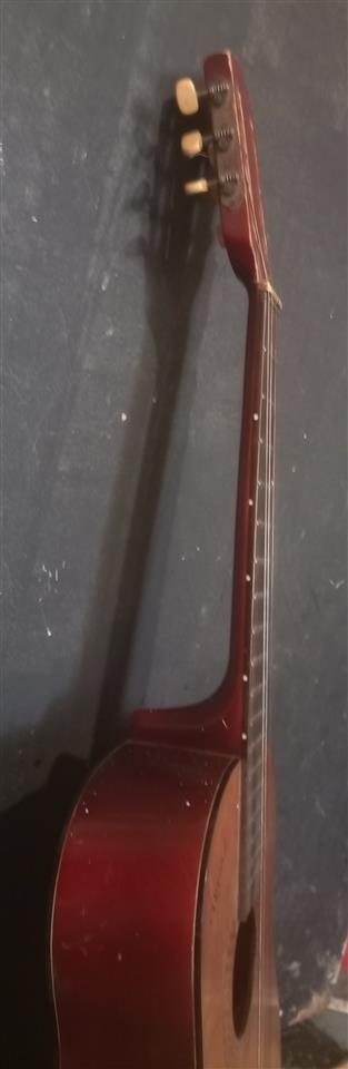 akusticna-gitara-vegas-
