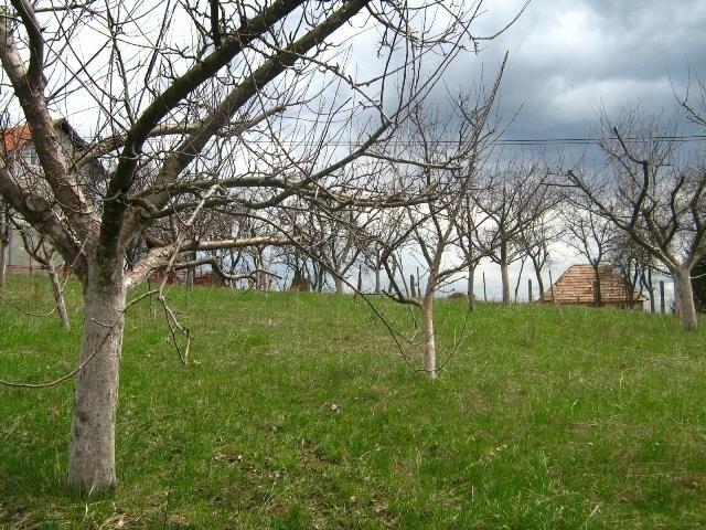 PLAC-BLIZU-ZLATIBORA
