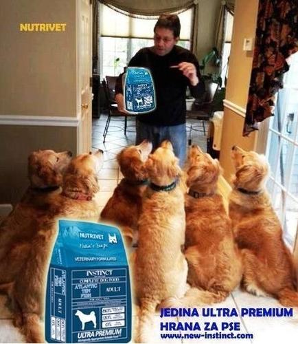 Hrana za pse- NUTRIVET, riba