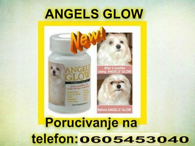 ANGELS-GLOW---za-pse-i-macke