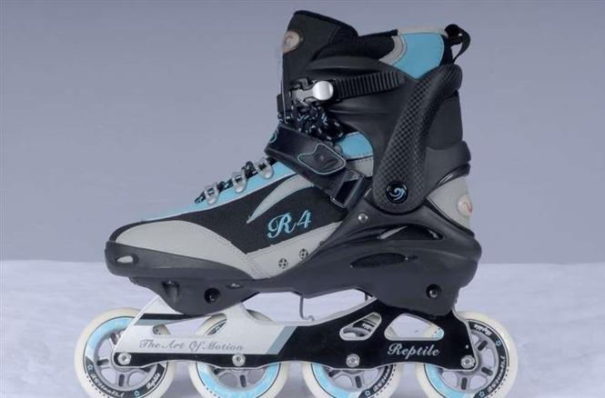 Reptil Raptor R 2010