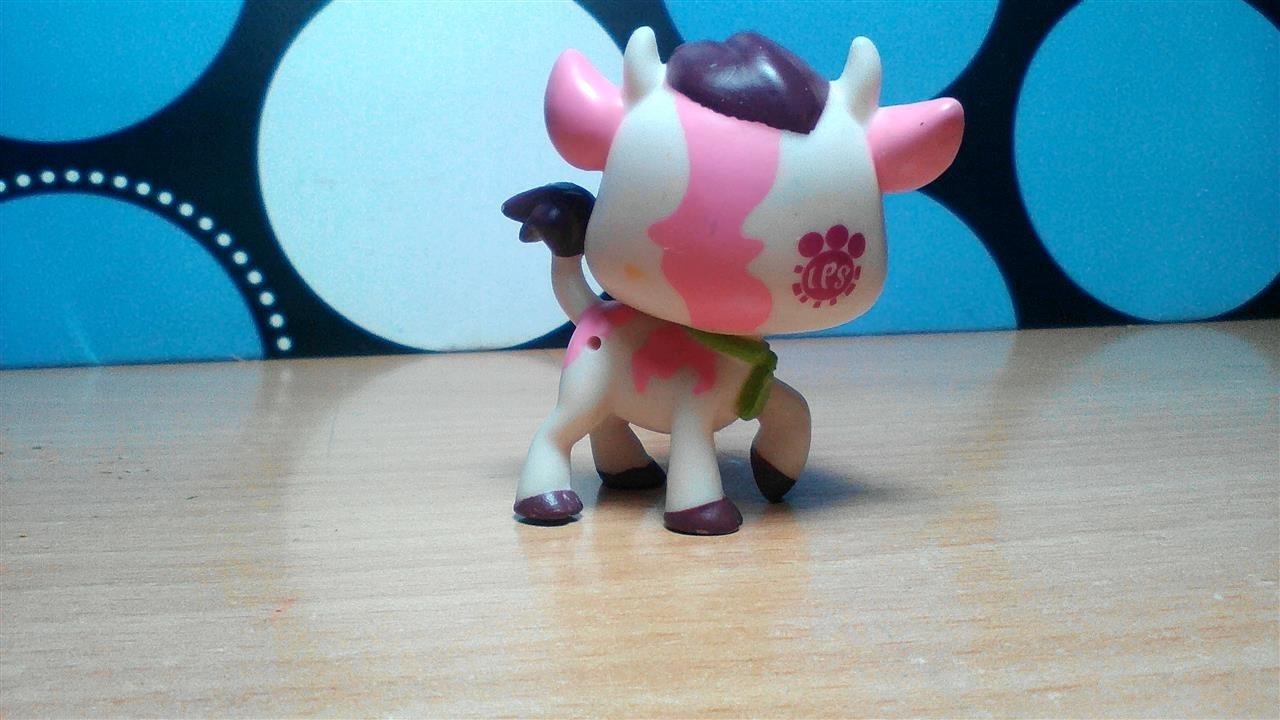 Littlest-pet-shop-kravica