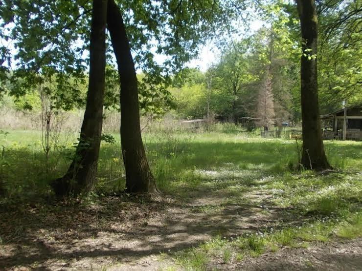 PLAC-U-ZABRANU-KOD-OBRENOVCA