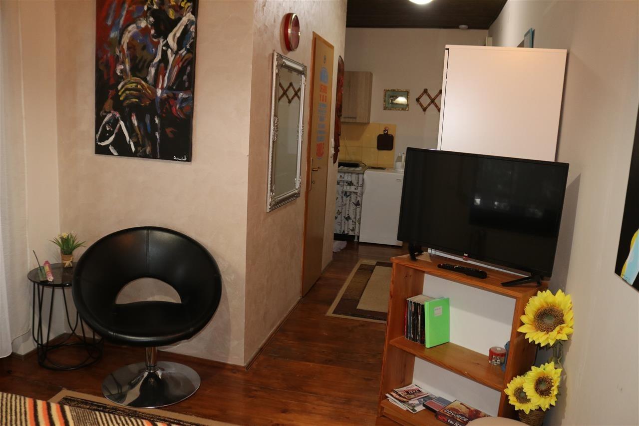 Zlatibor-Apartmani-VIlla-Ruža