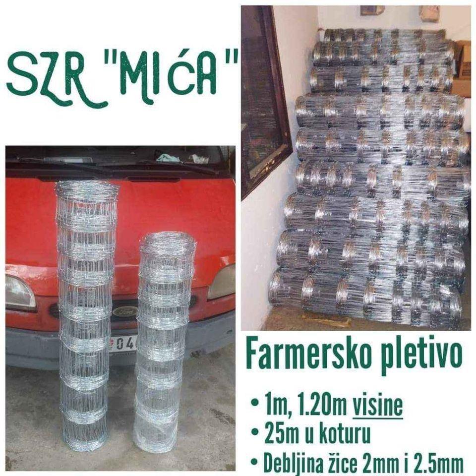 Zica
